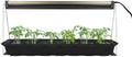 Ferry-Morse Indoor T5 Grow Light Bulb for Seed Starting, 24 x 11 in by FerryMorse