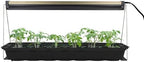 Ferry-Morse Indoor T5 Grow Light Bulb for Seed Starting, 24 x 11 in by FerryMorse