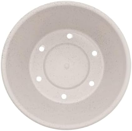 Bloem Terra 4" Plastic Planter, 0.25 Gallon, Vanilla Bean, 10-Pack - Image 5