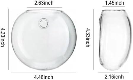 Wall Hanging Planter Propagation Station, Oblate Glass Flower Vase for Propagation, Wall Planter for Indoor Plants, Modern Home Office Corridor Bathroom Decor (6) - Image 2