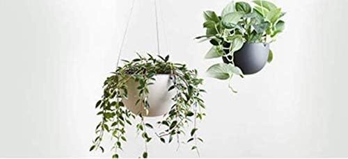 KINTO 29230 Plant Pot, 7.9 inches (201 mm), 6.8 inches (174 mm), Black Hanging Planter, Hanging Pot, Flower Pot, Interior Decoration - Image 5