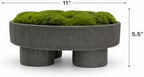 Quad Pedestal Moss Bowl | 11 Inch Matte Black | Artificial Moss Centerpiece | Modern Decorative Bowl - Image 3