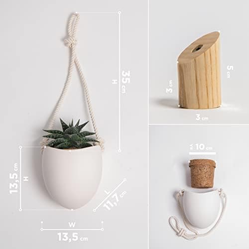 Kazai.® | Porcelain Wall Vases | 3 Piece Set | Including Wooden Hooks | Matte White - Image 4