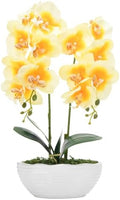 Large Artificial Orchid Arrangement in Oval Ribbed Ceramic Pot, Yellow by YSZL
