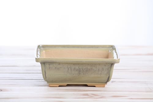 Willow Bonsai Ceramics Square Bonsai Pot 6 Inch – Low‑Profile Square Ceramic Bonsai & Succulent Pot with Accentuated Rim, High‑Fired Frost‑Proof Stoneware, Handmade in USA (Copenhagen, 6inch) - Image 2