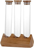 Cereals Canister Test Tubes with Sealed Wooden Caps Plant Propagation Glass Containers for Coffee and Tea Display and Scientific Experiments (3 Tubes) by Duiaynke