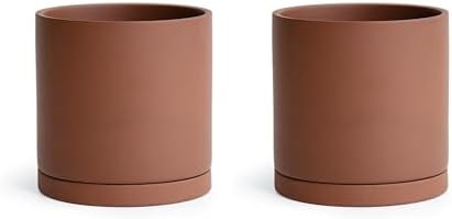 D'vine Dev 2-Pack Rust Terracotta Plant Pots with Saucers, 5 in, 40-V-B-2 - Image 7