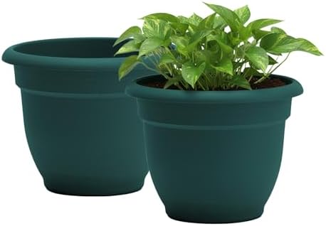 Bloem Ariana 12" Plastic Self-Watering Planter, Charleston Green, 2-Pack by Bloem