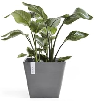 Ecopots Rotterdam Square Flower Planter, Grey, 15.75" - Image 5