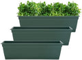 Bloem Dayton 24" Recycled Plastic Window Box Planter, Turtle Green, 3-Pack by Bloem