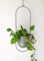 RISEON Boho Green Metal Plant Hanger,Metal Wall and Ceiling Hanging Planter, Modern Planter, Mid Century Flower Pot Plant Holder, Minimalist Planter for Indoor Outdoor Home Decor - Image 3