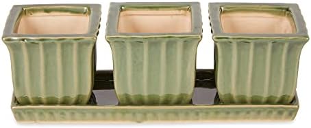 DII Ceramic Planter Collection Herb Pot Set, Green Square, 12x4x4 by DII