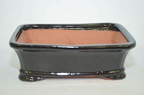 Bonsai Ceramic Pot 8", Black Color, Glazed with draining Holes. by Unknown