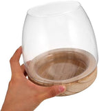 Glass Hydroponic Flower Pot with Wooden Base for Herbs and Plants, Modern Water Rooting Station with Elegant Bowl Design, for Dorm or Home Desk Plant Decor - Image 4