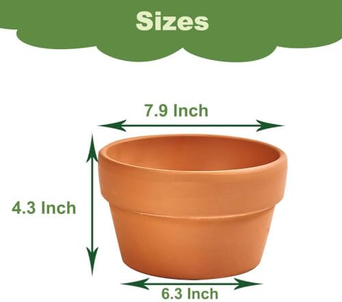 8 Inch Shallow Terracotta Pot for Succulent - 2 Pcs Large Clay Planter Pots with Drainage Hole, Shallow Plant Pottery Pots for Cactus Succulent and Other Indoor Outdoor Plants - Image 2