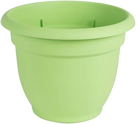 Bloem AP1025 10" Honey Ariana Planter by Bloem