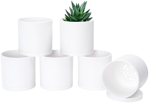 D'vine Dev 6-Pack White Plastic Planters with Saucers, 4 in, 74-Z-E-3 by DvineDevPlanterPotsandStand