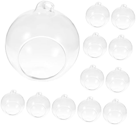 12pcs Glass Globe Terrarium Hanging Planter for Moss Crafts Home by Gogogmee