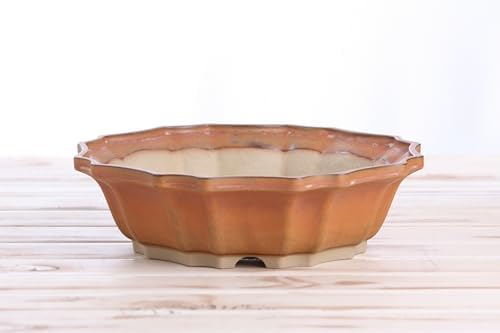 Willow Bonsai Ceramics Flower Design Bonsai Pot 10 Inch – Elegant Ceramic Bonsai & Succulent Pot, High‑Fired Frost‑Proof Stoneware with Drainage+Wiring Holes, Handmade USA (Deep Stone, 10inch) - Image 2