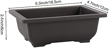 SEUNMUK 30 PCS 6.5 Inch Plastic Bonsai Training Pots, Thicken Rectangular Plastic Growing Pots, Flower Succulent Pots Container, Bonsai Plants Growing Pot for Home, Office, Balcony, Garden and Yard - Image 2