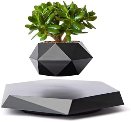 MOOCCI Levitating Plant Pot, Floating air Planter for Succulents by MOOCCI