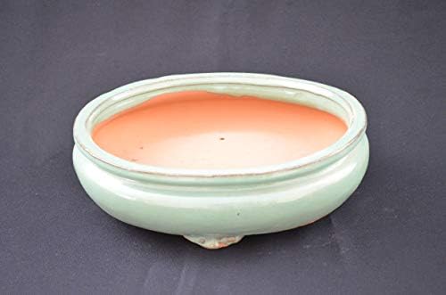 Bonsai Ceramic Pot 10", Green, Oval, Green Color, Glazed with draining Holes. by Unknown
