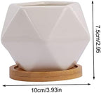 TOYANDONA 3 Sets Ceramic Succulent Flower Pots Drainage Tray Unique Planters for Indoor and Outdoor Decoration - Image 2