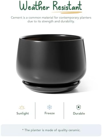 LE TAUCI Ceramic Planter, 12 Inch, Large Plant Pot, Indoor Plant Pot, Black - Image 5