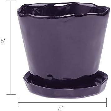 CHIVE ‘Tika’ Big Succulent Pot — 5” Cute Planter Pots for Indoor Plants — Beautiful Modern Decor for Home & Kitchen — Purple - Image 3