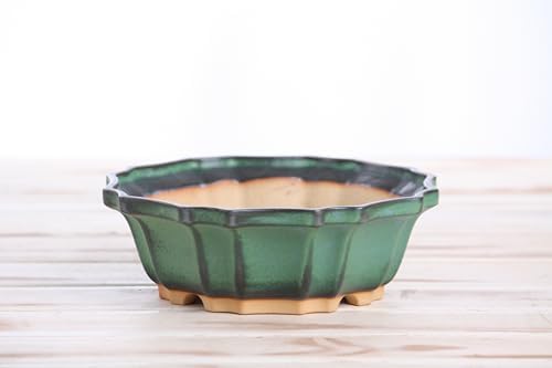 Willow Bonsai Ceramics Flower Design Bonsai Pot 6.5 Inch – Elegant Ceramic Bonsai & Succulent Planter, High‑Fired Frost‑Proof Stoneware with Drainage & Wiring Holes, Handmade in USA (Avocado) - Image 3