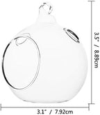Glass Orb Hanging Terrarium Air Plant Globe Candle Holder Home Decor Set of 50(3.5" Tall by 3.1" Diameter with 2 Side Holes - Image 6