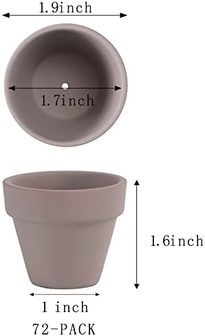 2 Inch Grey Terracotta Pots Pack of 72 - Mini Clay Pot with Drainage Hole for Tiny Cactus Herb lithop, Small Succulent Planter Nursery Plant Pot for Windowsill, Cactus Plant, Crafts, Wedding Favors - Image 2