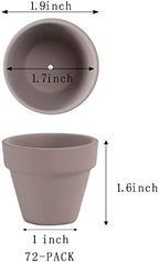 2 Inch Grey Terracotta Pots Pack of 72 - Mini Clay Pot with Drainage Hole for Tiny Cactus Herb lithop, Small Succulent Planter Nursery Plant Pot for Windowsill, Cactus Plant, Crafts, Wedding Favors - Image 2