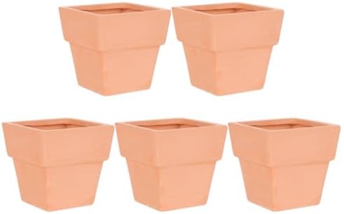 GANAZONO 5pcs Small Terracotta Pots Square Clay Pots Ceramic Flower with Drainage Holes Cactus Nursery Planter Succulent Terracotta Plant for Outdoor Indoor by GANAZONOEnjoyYourLife