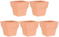 GANAZONO 5pcs Small Terracotta Pots Square Clay Pots Ceramic Flower with Drainage Holes Cactus Nursery Planter Succulent Terracotta Plant for Outdoor Indoor by GANAZONOEnjoyYourLife