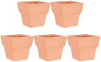 GANAZONO 5pcs Small Terracotta Pots Square Clay Pots Ceramic Flower with Drainage Holes Cactus Nursery Planter Succulent Terracotta Plant for Outdoor Indoor by GANAZONOEnjoyYourLife