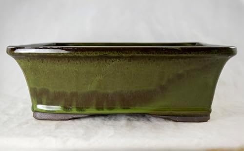 Yubonzai Rectangular Moss Green Glazed Bonsai Pot, Cactus & Succulent Planter with Mesh - 10"x 8"x 3.25" (Pot + MESH) by Unknown