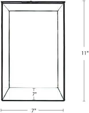 Large Geometric Terrarium Glass Container, 11 inch high Greenhouse w/Lid, for Indoor Plants, Succulent, Moss, Air Plant, Tabletop Decoration - Image 3