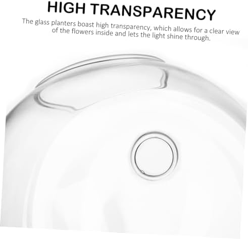 4pcs Wall Propagation Planters Glass Globe Hanging Terrarium Station Transparent Glass Vases for Hydroponics Plants Home Office Living Decor - Image 5