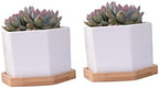 BESPORTBLE 2 Sets White Ceramic Hexagonal Succulent Pots with Bamboo Tray - Image 2