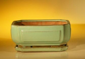 Bonsai Boy L227 8.5 x 6.5 x 3.5 in. Ceramic Bonsai Pot Light Green - Rectangle by Bonsai+Boy