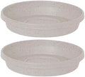 Bloem Terra 16" Round Plastic Plant Saucer, Lightweight UV-Resistant Indoor/Outdoor Flower Pot Tray - Fits 16-inch Planter Pots, Vanilla Bean, 2-Pack by Bloem