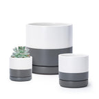 D'vine Dev 3-Pack Ceramic Pots with Saucers, 3/4/6 in, White/Grey, 94-T-S-6 by DvineDevPlanterPotsandStand