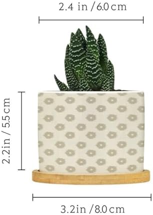 Timur in Blue Background Ceramic Planters Geometric Modern Snake Plant Live Indoor with Pot with Drainage Holes and Saucers Pot for Outdoor Garden Home Plant - Image 2
