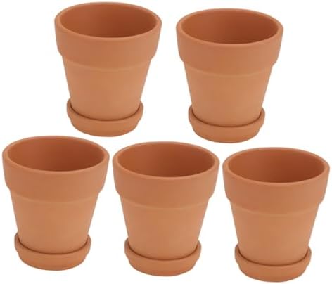 SEWACC Red Clay Succulent Pots with Saucers 8x8 Cm Terracotta Planters for Indoor Outdoor Gardening 5pcs Set Breathable Water-Absorbent Flower Containers with Drainage Tray by SEWACC