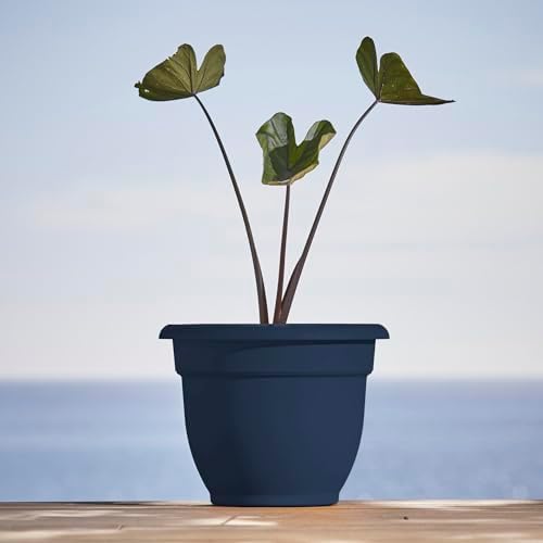 Bloem Ariana 12" Plastic Self-Watering Planter, Navy, 2-Pack - Image 2