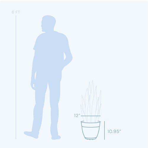 Bloem Dayton 12" Recycled Plastic Planter with Saucer, Charcoal, 4-Pack - Image 2