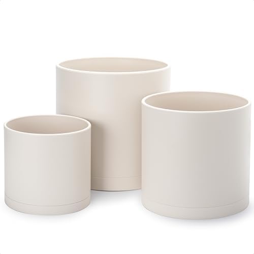 D'vine Dev 3-Pack Plastic Pots & Saucers, 8/10/12 in, Oatmeal, 74-V-H-5 by DvineDevPlanterPotsandStand