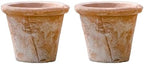 2/3 Pack Terracotta Planter, Breathable Clay Flower Pots, Red Clay Terracotta Plant Pots with Drainage, Indoor Outdoor Terracotta Flower Pot for Home Garden Plant Planting/12Cm by Unknown