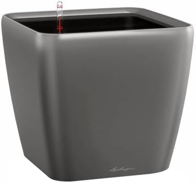 Lechuza Quadro LS 28 Charcoal Metallic, Self-Watering Square Planter, H10.2 L11 W11 in by LECHUZA